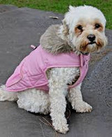 Fleece Padded Adjustable Dog Harness Coat